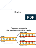 Review Dna