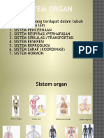 04. Sistem Organ