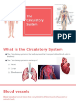 the circulatory system