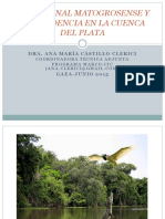 El Pantanal Matogrosense y Su Incidencia en La Cuenca Del Plata