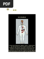 Os chakras e seus desequilíbrios