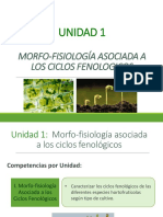 MFL1101 Clase 5 - 1 PDF