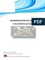 Neuropsicología Del Suicidio y Del Intento Autolitico PDF