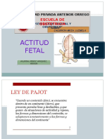 Actitud Fetal