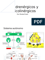 Antiadrenergicos y Anticolinergicos