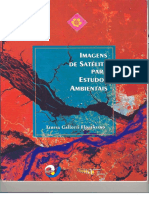 FLORENZANO, T. G. Imagens de Satélite para Estudos Ambientais PDF