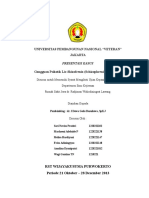 UNIVERSITAS PEMBANGUNAN NASIONAL