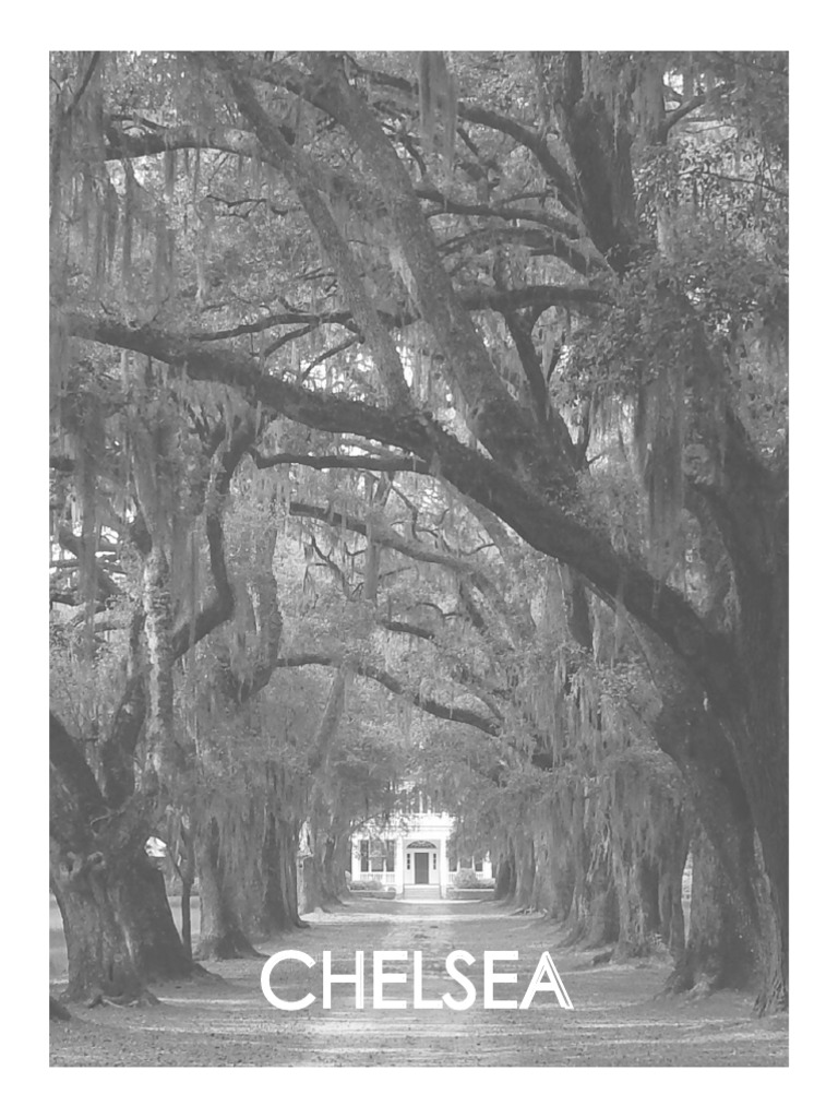Chelsea Plantation History and Architecture JD Myles PDF
