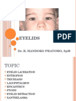 Eyelid Kuliah