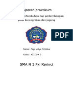 Laporan Biologi Praktikum pertumbuhan kecambah