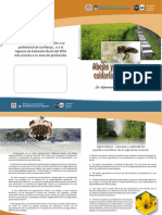Abejas y Agroquimicos Cuidarlas Es Cuidarnos PDF