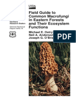 USDA Field Guide to Common Macrofungi