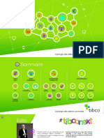 Rapport Annuel Tibco 2015