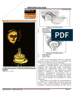 Atm - Articulação Temporomandibular - Hubertt Grün PDF