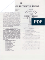 duca partea 2.pdf