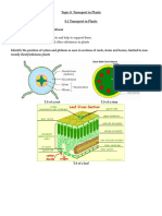 Topic 8 Revision Notes 2btdx6p