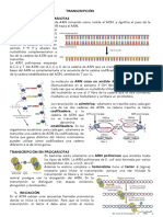 TRANSCRIPCION.pdf