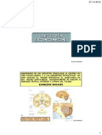 Sindromes Motores