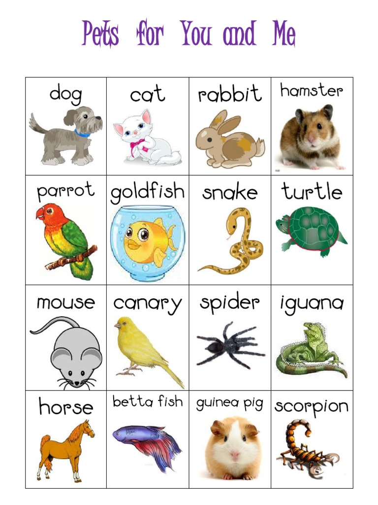 Vocabulary Pets Pdf