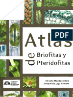 Atlas de Briofitas y Pteridofitas Mendoza y Ceja 2014