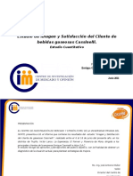 Informe Final de Clientes Cassinelli 2011 (1)