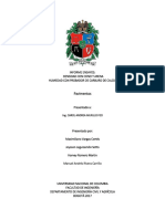 Laboratorio Cono - Arena PDF