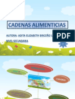 CADENAS ALIMENTICIAS_ppt
