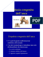 Disp Congen Anca