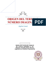 Origen Del Termino Número Imaginario