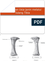 Pengukuran Usia Janin Melalui Tulang Tibia