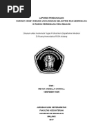 Download lp CKD dg malnutrisi  HD by Meyda Sabiella Carnall SN346030172 doc pdf