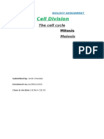 Front Page Cell Division
