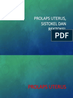 Prolaps Uterus, Sistokel Dan Rektokel