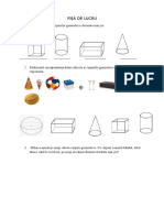 Fisa de Lucru Proiect Cls A II Corpuri Geometrice