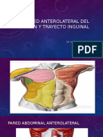 Pared Anterolateral Del Abdomen, Dr. Del Nogal