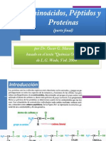 Aminoacido Peptidos Proteinas Omarambi