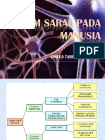 Anatomi-dan-Fisiologi-Pertemuan-2.ppt