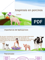 Leptospirosis en Porcinos