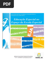 publicao-projeto-aguia-escola-especial.pdf
