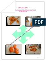 Practica N°04-Seleccion y Clasificacion de Frutas y Hortalizas