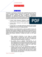 Organizaciones del tercer sector.pdf