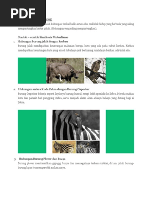 Simbiosis Mutualisme