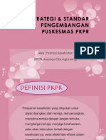 PKPR Puskesmas