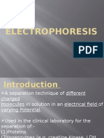 Electrophoresis 7