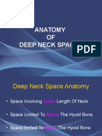 Deep Neck Spaces Anatomy Guide