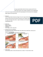 DEBRIDEMENT.docx