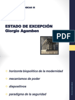 AGAMBEN - ESTADO DE EXCEPCIÓN (resumen)