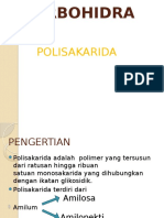 PPT_Polisakarida