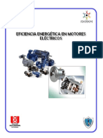 Eficiencia Energetica de Motores Electricos.pdf