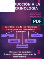 Introducción A La Endocrinología